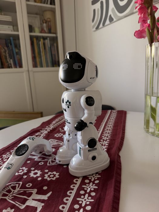 Tech-Bot, interaktywny robot zdalnie sterowany