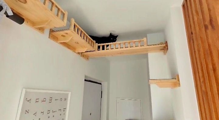 PLAYGROUND para gato - Parque de brincar para gato-Parquinho para gato