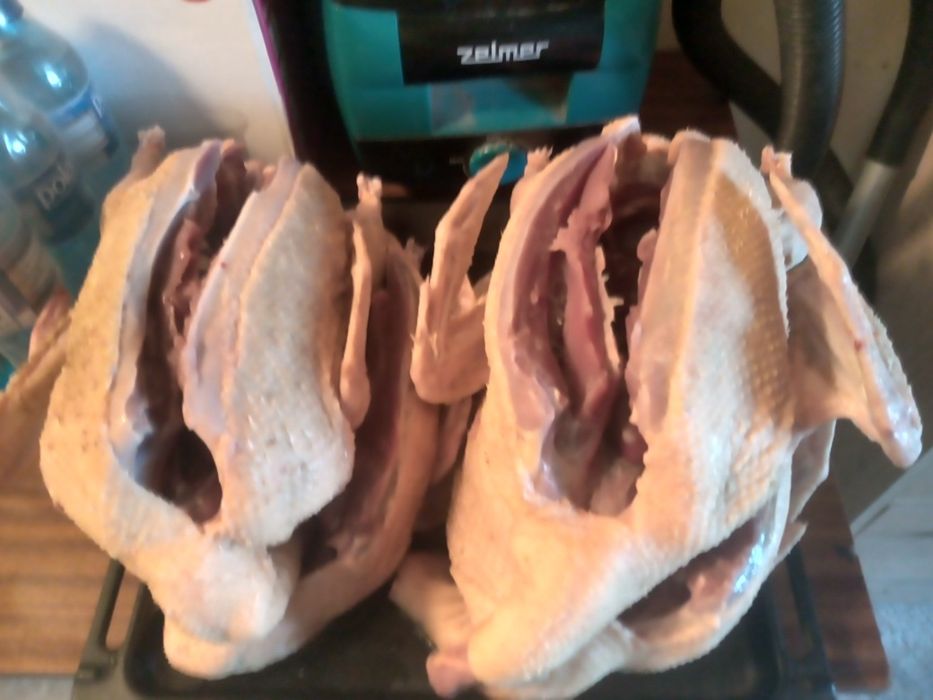 Sprzedam tuszki kaczek