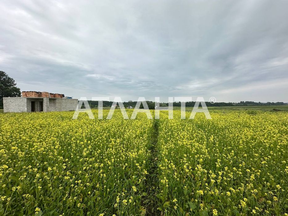 ТЕРМІНОВО! Продаж Ділянки. с . Чижиків, 12.94сот