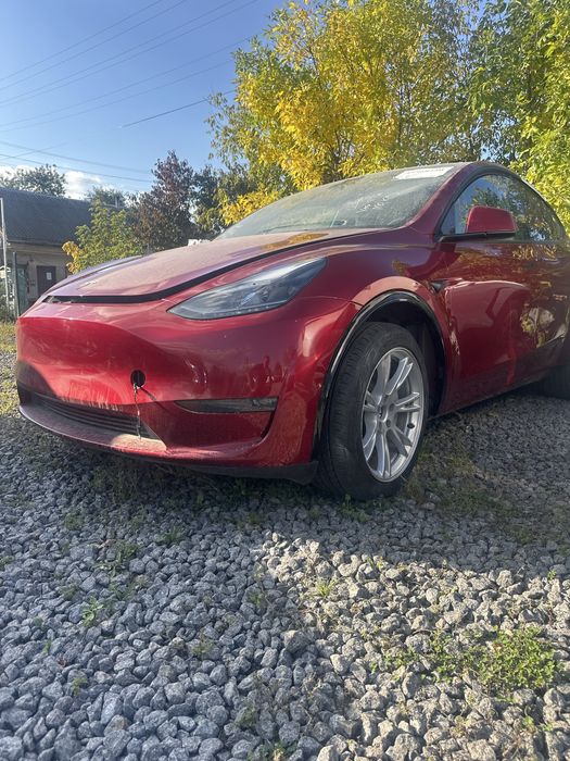 Tesla model Y DM 2024