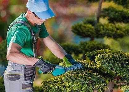 Trabalhos de remodelação e jardinagem em todas as regiões Margem Sul