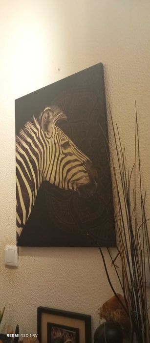 Quadro zebra lindo