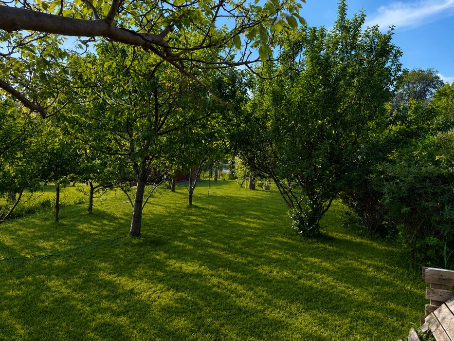 DZIAŁKA ROD STOKROTKA jedrzychow 700 m² - Widok 6