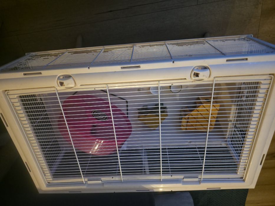 Mega klatka dla chomika czy królika