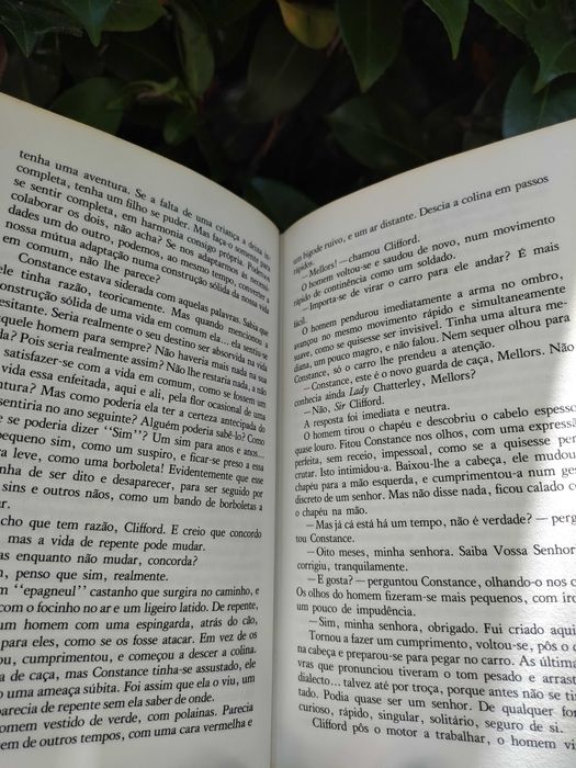 O amante de Lady Chatterley (D. H. Lawrence)