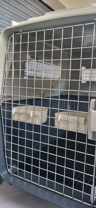 Transportadora de plástico