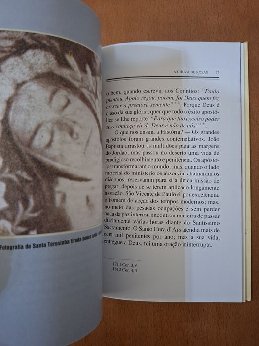 Santa Teresa do Menino Jesus
