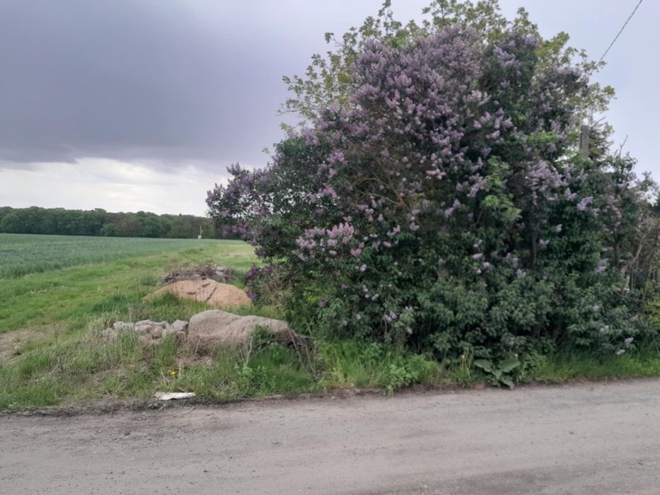 Działka rekreacyjna budowlana 1554 m2 Zdziarka