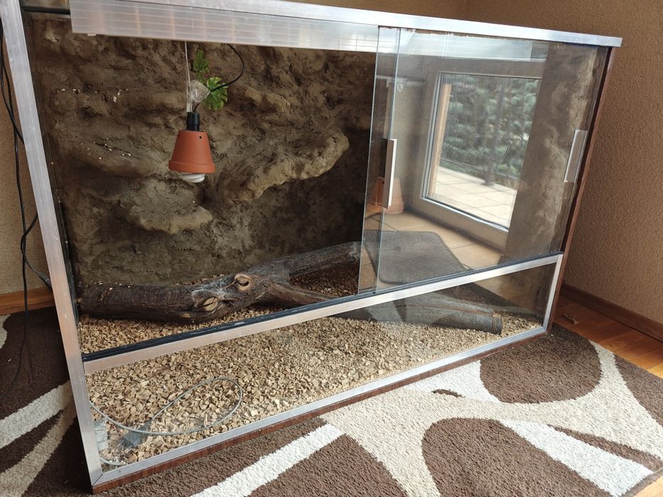 Duże terrarium 125x82x82
