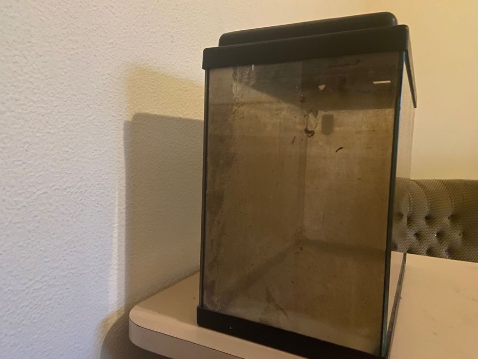 2 aquarios 40cm 30€ cada