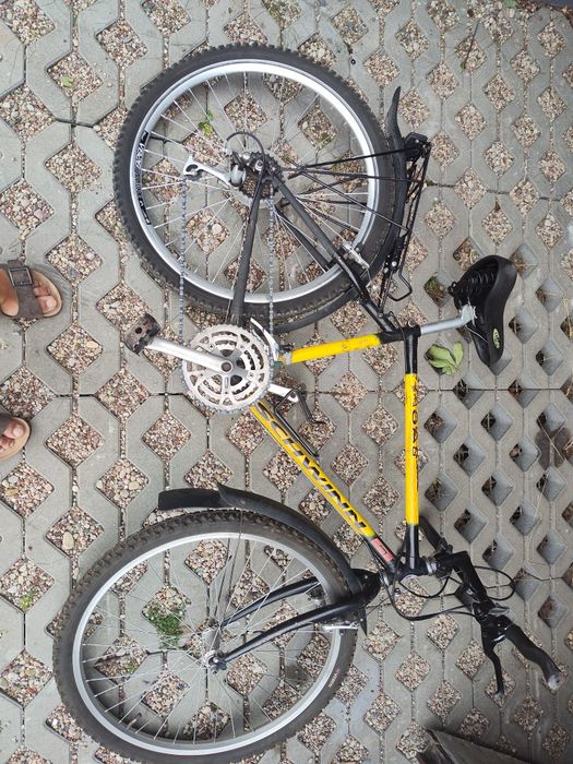 Rower Schwinn na kołach 26
