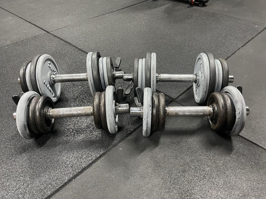 Halteres ajustáveis – 2 pares