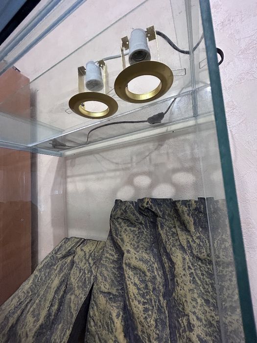 Тераріум з скла з підсвіткою(без ламп) та фоном –  для рептилій