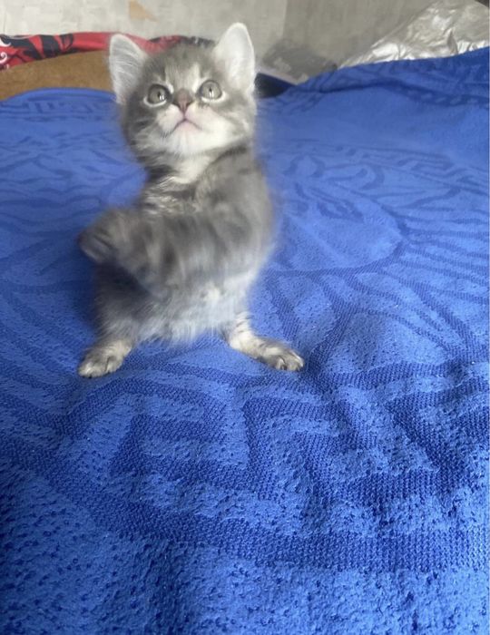 Такой красивый мальчик