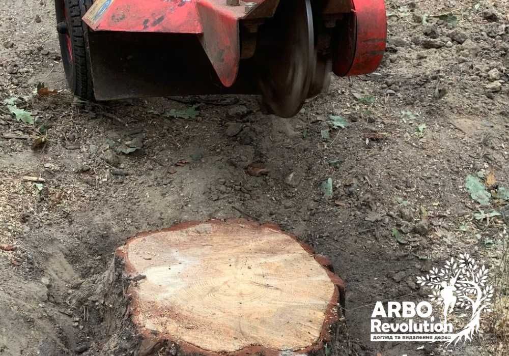 КОРЧЕВАНИЕ ПНЯ, корчування пня, видалення пня, удаление пня, пониження