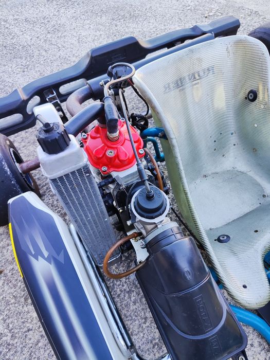 Karting cadete motor rotax