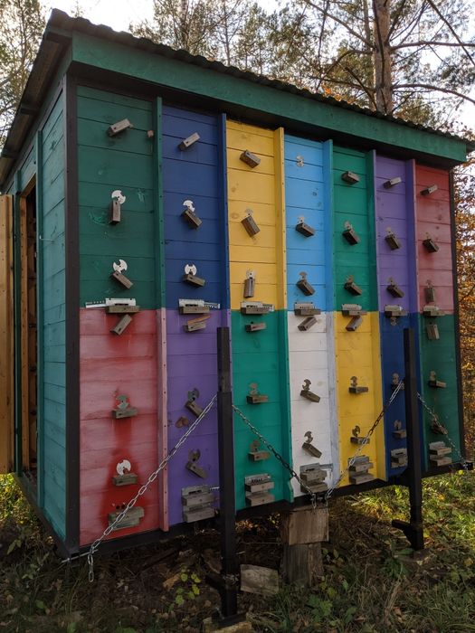 Продам бджолопавільйон