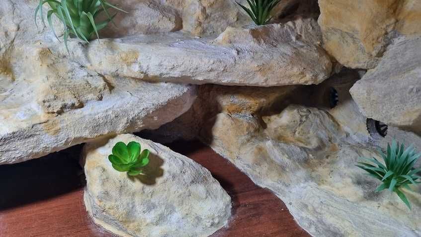 Terrarium  dla gekona  80x40x40  gotowe