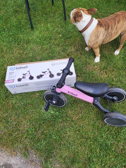 Trzykołowy rowerek dla dziewczynki