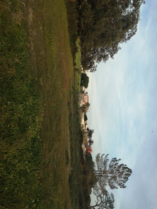 Terreno, Salgados, Guia