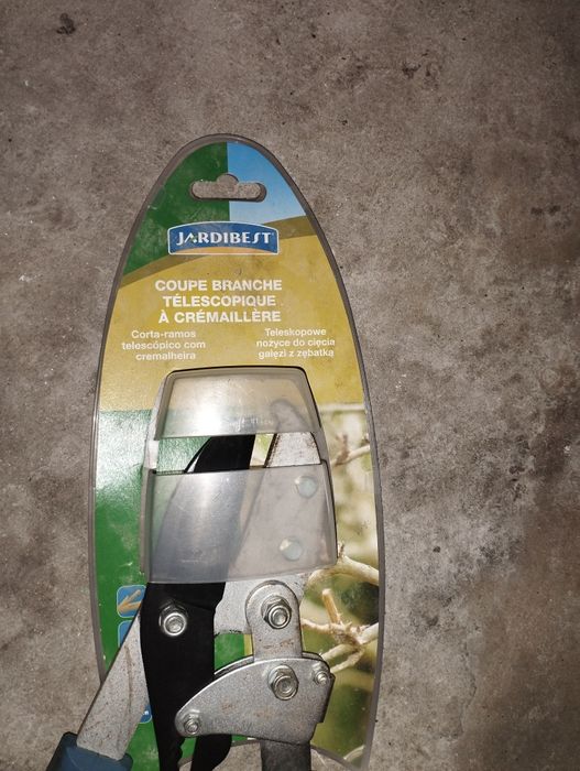 Corta Ramos telescópico