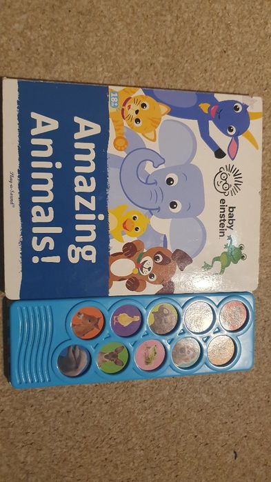 Książka edukacyjna angielska