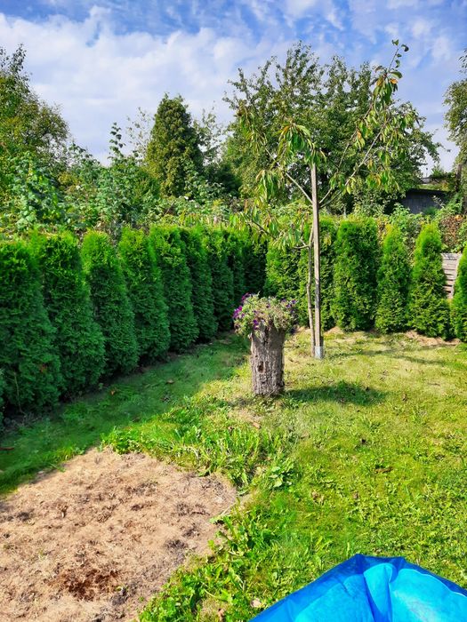 Działka ROD Nowy Start Gliwice