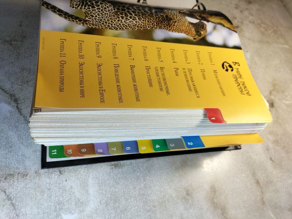 Энциклопедия собранная