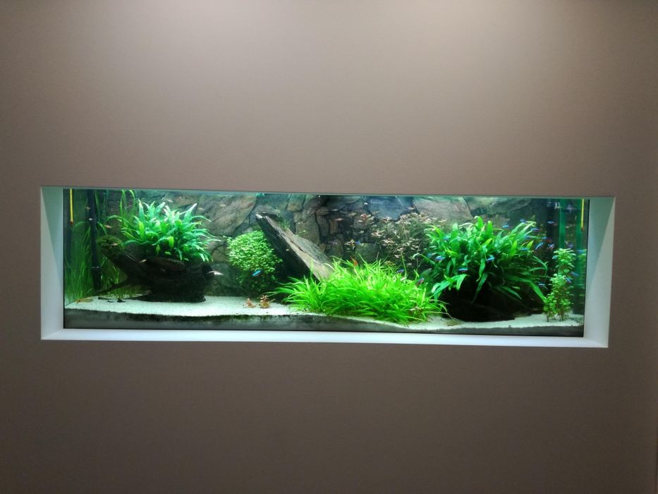 Akwarium z osprzętem około 300 l