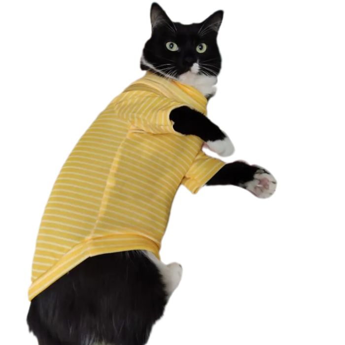Жовта кофта, плаття для кота або собачки. Одяг для сфінкса
