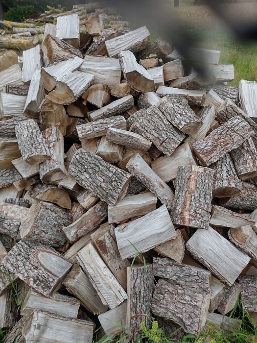 Drewno opałowe kominkowe