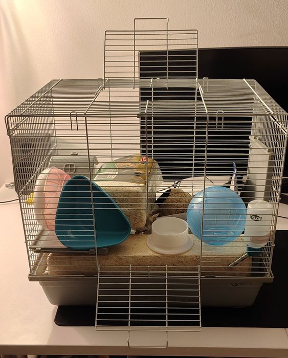 Klatka dla chomika gryzoni