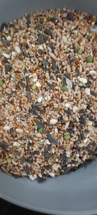 Mix ziaren 25 kg super cena papuga kura bażant gołąb