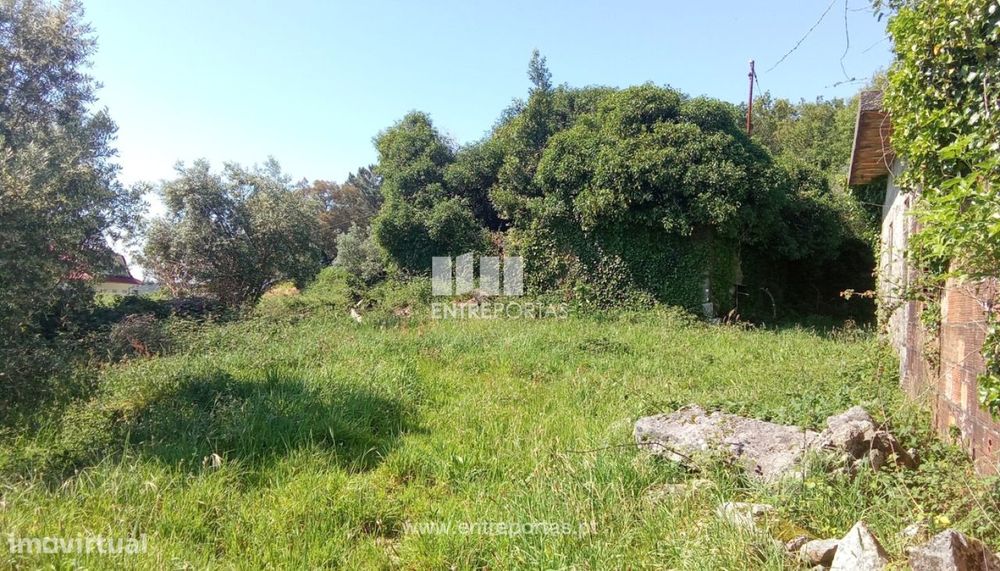 Terreno com ruína em pedra para venda, Dem, Caminha