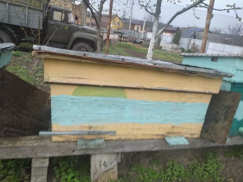 Вулики бджолині (5 штук)