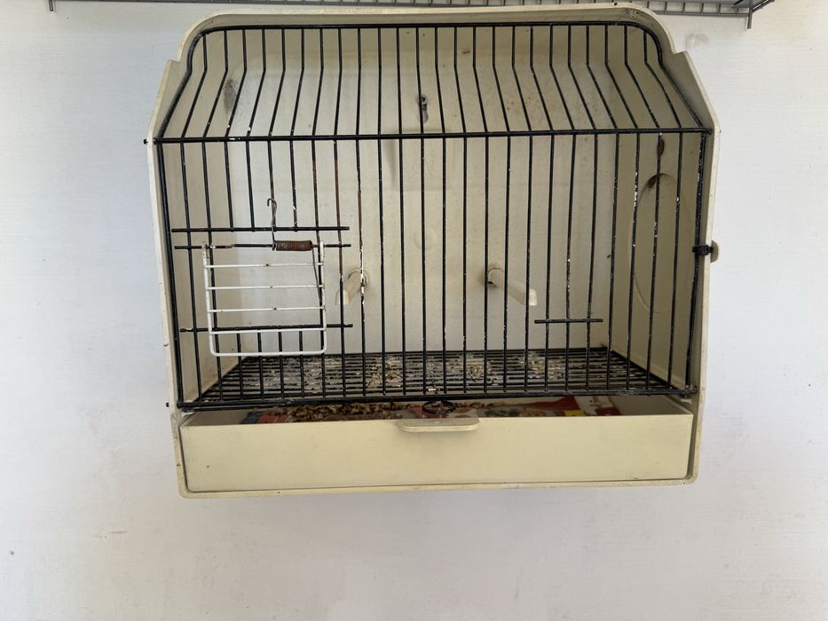 Gaiola exposição