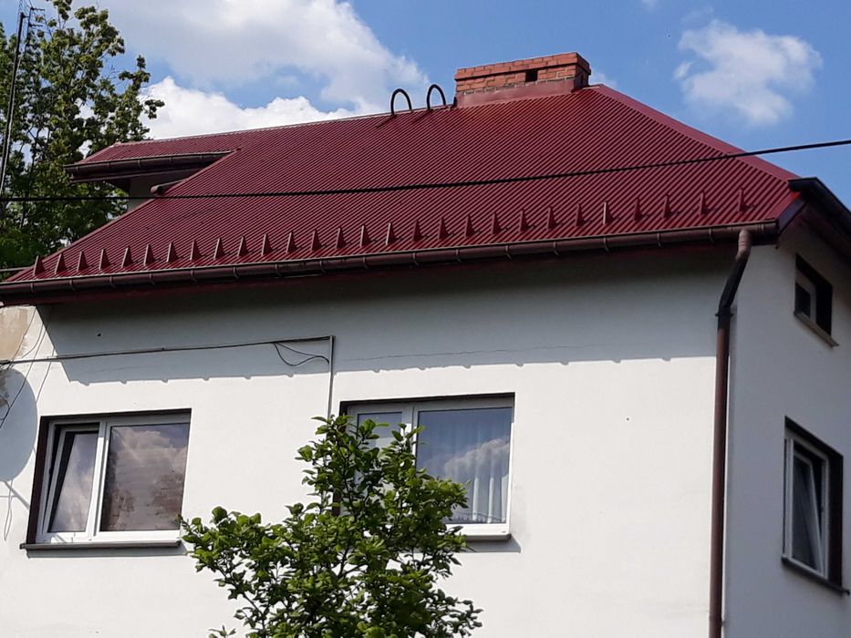 Malowanie dachów Malowanie Elewacji  Wymiana rynien Wycinka drzew Malowanie dachówek
