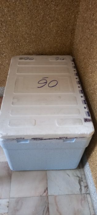 Caixa Térmica Isotérmica 200L Esferovite Isoplast (Como Nova)