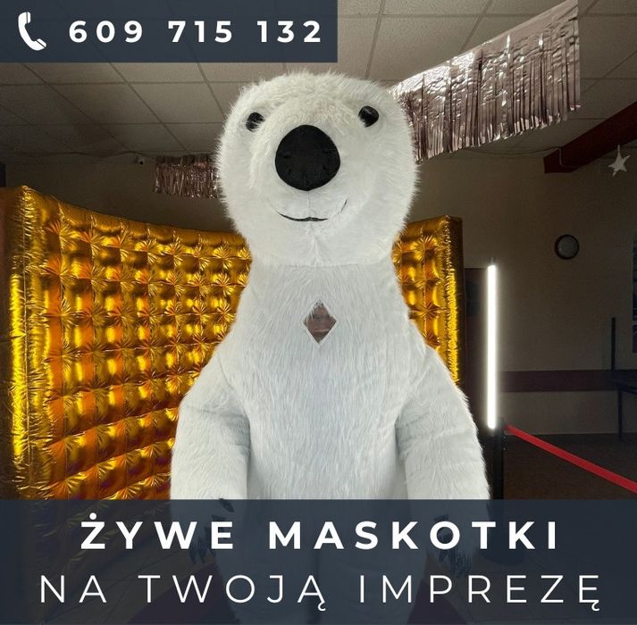 Żywe maskotki na Twoją impreza ,Fotobudka 360, biały miś
