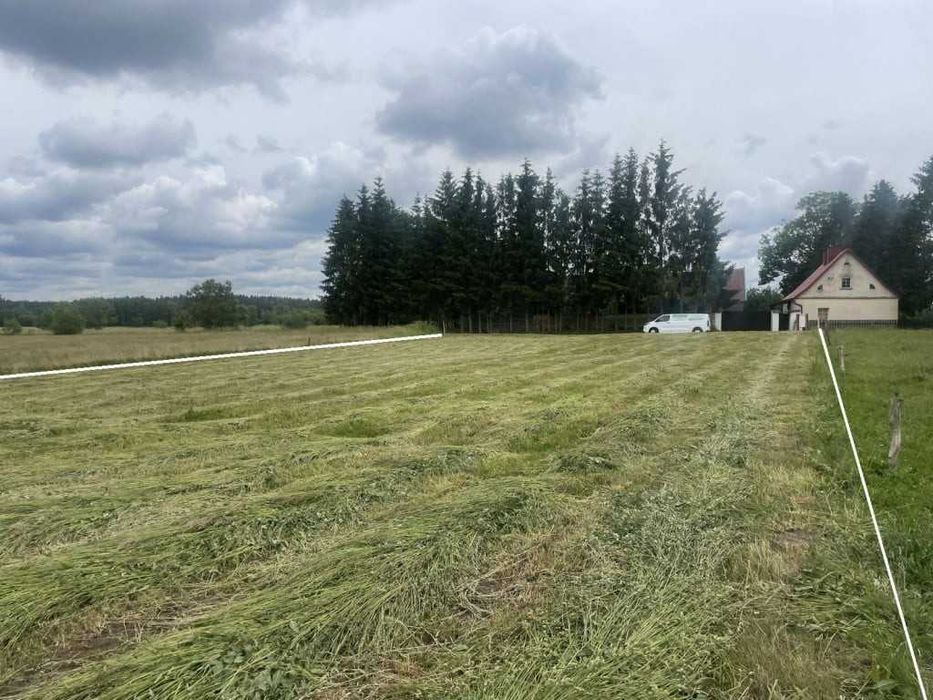 6 km do Jeziora Roś, Zabielne-działka 3 700 m², warunki zabudowy - Widok 4