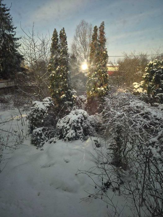 Пухівка, продаж будинку 490 м, ділянка 18 соток.