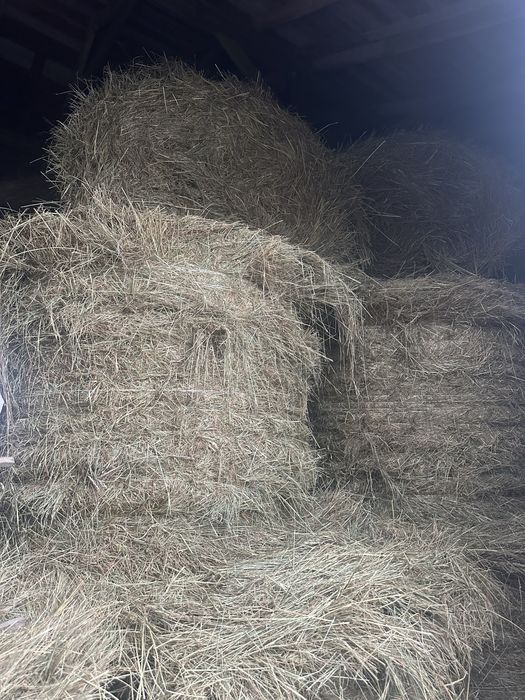 Siano pierwszy pokos