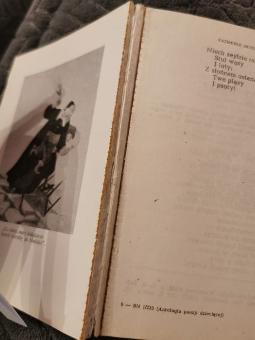 Antologia poezji dziecięcej