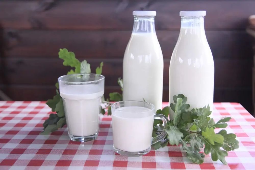 Kozie mleko I sery dostawa do Poznania we wtorki