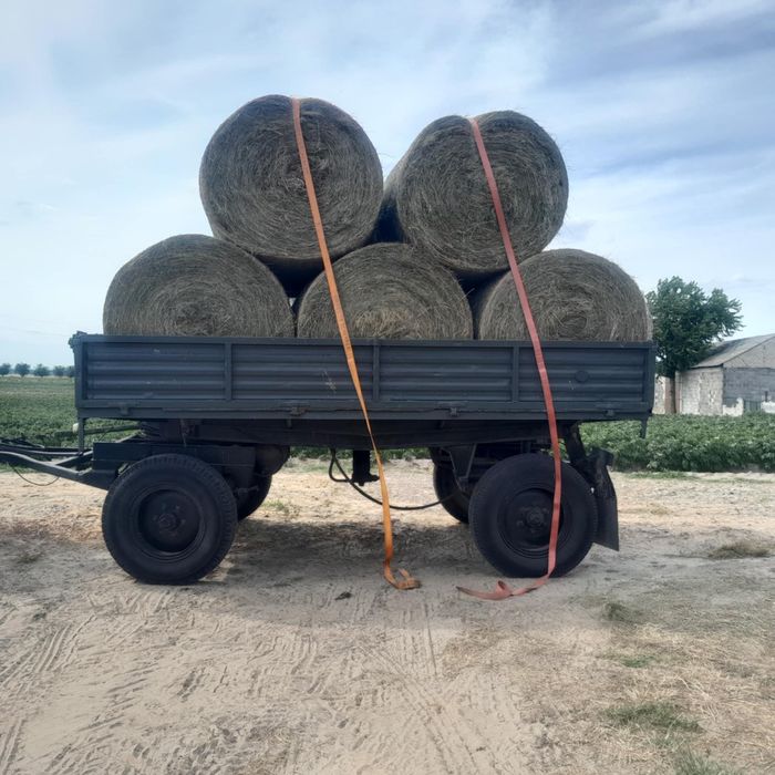 Siano łąkowe - zbiór 2025r.