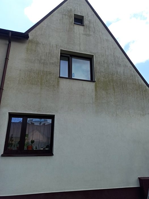Ogrodnik, prace w ogrodzie