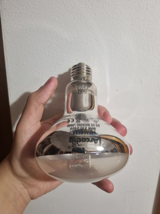 Lampadas de aquecimento