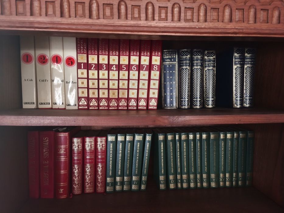 Lote de Livros e Enciclopédias – Mirandela (Venda Conjunta)