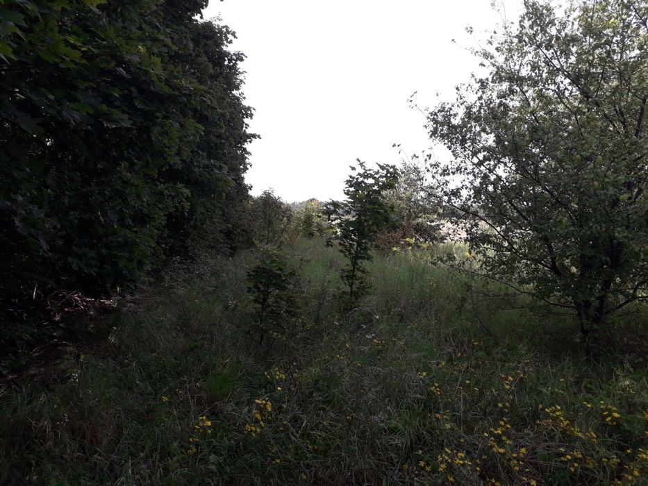 Mielno działka 1500 m² z W.Z - Więcej